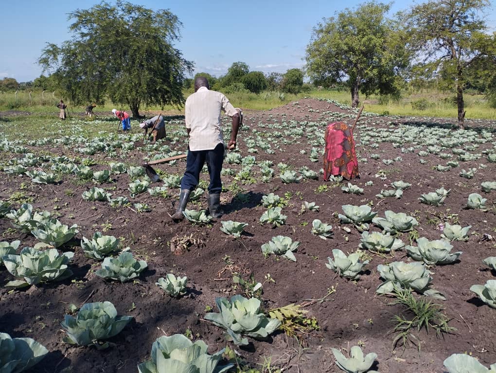 Farmer Training